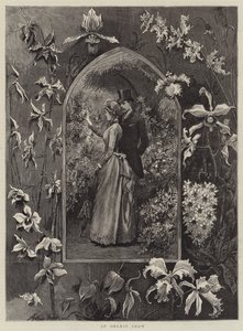 Una exposición de orquídeas de Arthur Hopkins