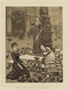 Alimentando a las Palomas de San Marcos, Venecia de Arthur Hopkins