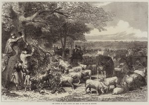 La Defensa de París, Ganado y Ovejas en el Bois de Boulogne