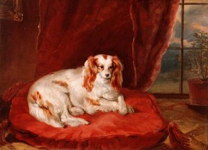 Un Cavalier King Charles Spaniel acostado en un cojín rojo de Arthur J. Stark