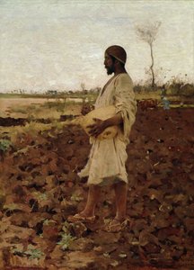 Un sembrador egipcio, 1881