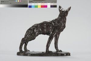 Coyote Alerta
