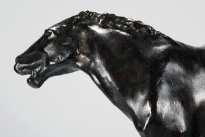 Potro