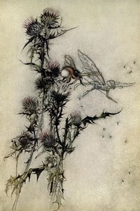 El sueño de una noche de verano de Arthur Rackham