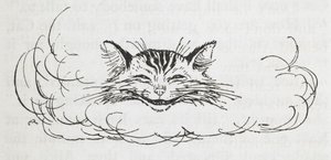 El gato de Cheshire