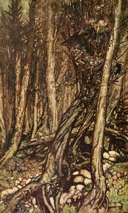 Undine de Friedrich de la Motte Fouqué de Arthur Rackham