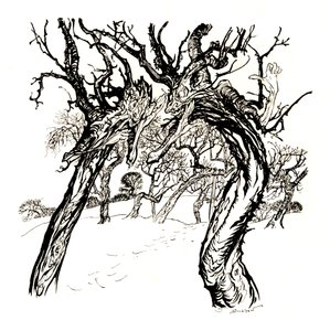 Árboles Susurrantes, De Un Plato de Manzanas, 1917, 1923 de Arthur Rackham