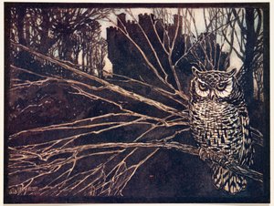 ¿O un búho chillón?, de Los cuentos de hadas de los hermanos Grimm, pub. 1909 de Arthur Rackham