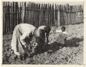 Trabajando en el jardín, Gee