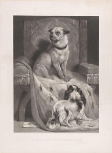 Perro en una capa de armiño en un trono Geordie se sienta en la silla de Charlie (título sobre el objeto) de Arthur Turrell