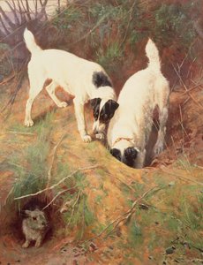 ¿Hay alguien en casa? de Arthur Wardle