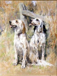 Setters ingleses por un estilo de Arthur Wardle
