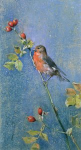 Petirrojo en una rama de Arthur Wardle