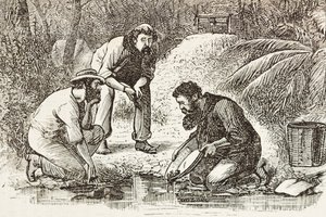 Australia (1880). La vida de los buscadores de oro en Botany Bay (fundada en 1788). Grabado. Colección privada de Artist Unknown