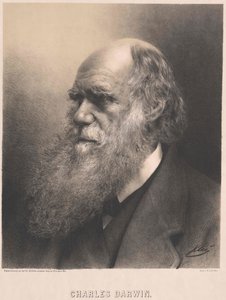 Charles Darwin de Artist Unknown