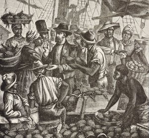 Historia de Inglaterra (siglo XIX). Colonización (1880). Bahama vendiendo piñas. Colonia inglesa en la isla de Nueva Providencia. Las piñas eran uno de los productos de exportación más importantes del puerto de Nassau. Grabado. Colección privada de Artist Unknown
