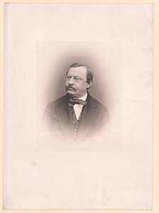 Karl von Stellwag-Carion de Artist Unknown