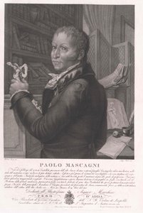 Paolo Mascagni de Artist Unknown