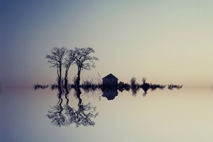 Reflejo sereno en el agua