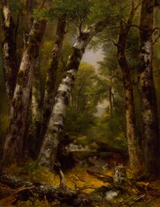 Bosque Glen