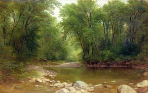 Un arroyo en Catskill, 1867 de Asher Brown Durand