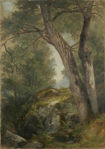 Árbol de Nuez en Hague, Lago George, NY, 1862
