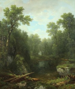 Chapel Pond Brook, Keene Flats, Montañas Adirondack, Nueva York, 1871