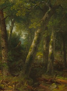 Bosque en la luz de la mañana, c. 1855 de Asher Brown Durand