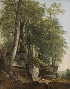 Paisaje con rocas y árboles de Asher Brown Durand