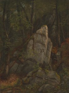 Estudio de rocas en el barranco de Pearson, mediados de la década de 1850 de Asher Brown Durand