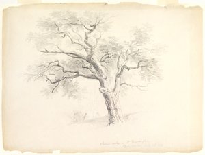 El Roble Castaño en la Finca Hosack, Hyde Park, Nueva York con Cinco Figuras y un Artista Dibujando, 1838