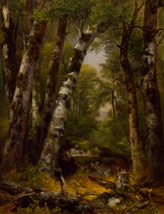 Valle boscoso de Asher Brown Durand