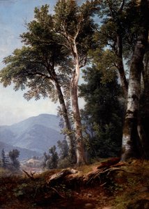 Paisaje boscoso, c.1850 (óleo sobre lienzo) de Asher Brown Durand