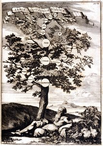 Árbol genealógico de Noé según: Athanasius Kircher, Turris Babel, Roma 1675 Milán