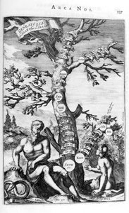 Árbol genealógico de Adán, 1675 de Athanasius Kircher