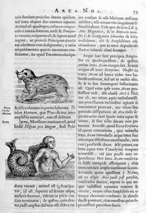 Criaturas míticas, 1675