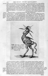 Criaturas míticas, 1678 de Athanasius Kircher