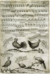La canción emitida por ciertos volátiles expresada por notas musicales según: “Musurgia Universalis” de Athanasius Kircher de Athanasius Kircher