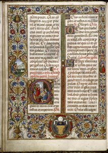 Misal de Thomas James: página con una inscripción: la Adoración de los Magos y un medallón al margen: los pastores en la Anunciación.