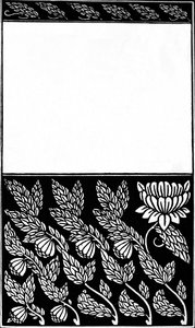 Diseño para la portada de Nobody