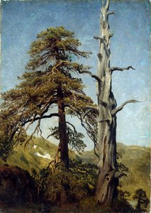 ""Estudio de árboles, Noruega"" Pintura de August Cappelen (1827-1852) 1850 Museo Nacional de Arte, Oslo, Noruega