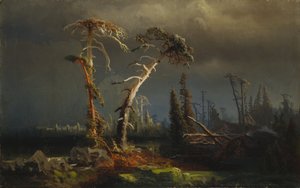 Tormentas crecientes: bosque primitivo extinto en tormentas (óleo sobre lienzo) de August Cappelen