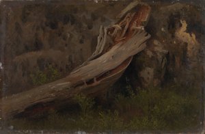 Estudio de un tronco en descomposición de August Cappelen