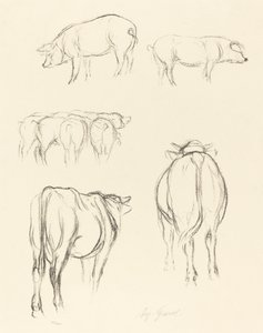 Bocetos de animales de August Gaul