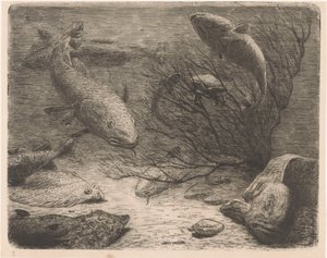 Acuario de August Le Gras