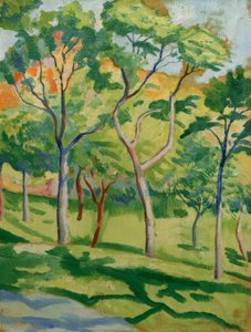 Árboles en el prado