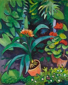 Flores en el jardín, clivias y pelargonios de August Macke