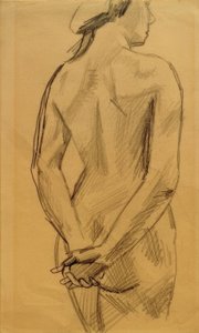 Desnudo femenino 53