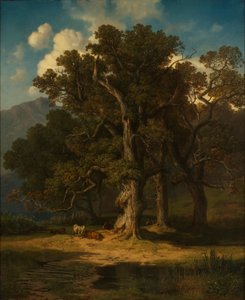 paisaje forestal de August Maximilian Zimmermann