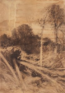 estudio de árboles